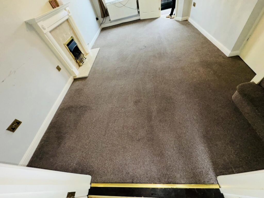 cleaning service