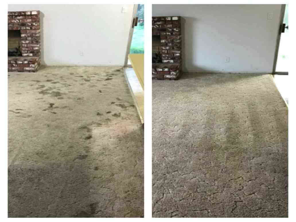Carpet-Cleaning-Services-5