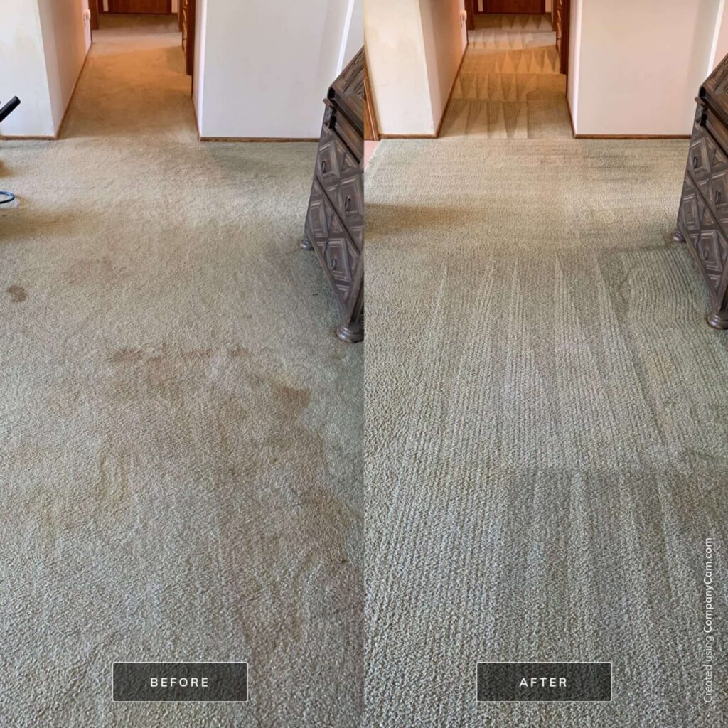 lifted_carpet_cleaning_before_after8-1024x1024-1